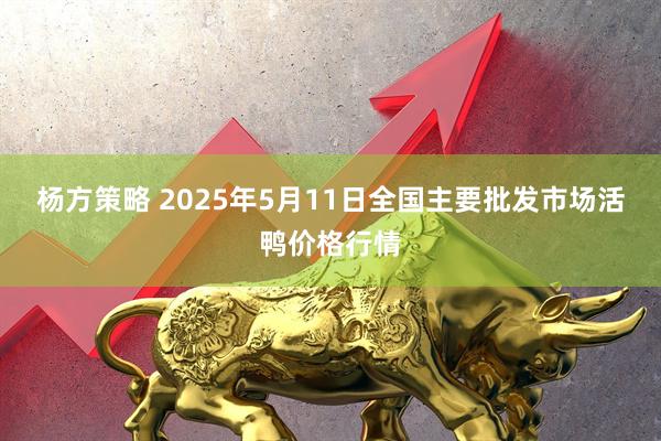 杨方策略 2025年5月11日全国主要批发市场活鸭价格行情