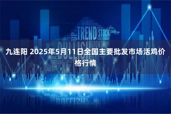 九连阳 2025年5月11日全国主要批发市场活鸡价格行情