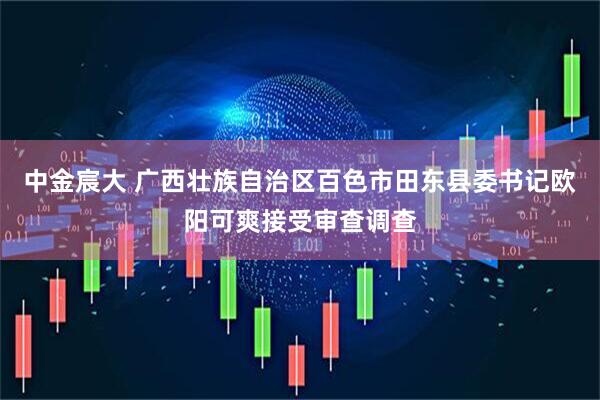 中金宸大 广西壮族自治区百色市田东县委书记欧阳可爽接受审查调查