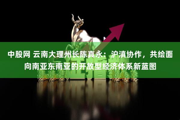 中股网 云南大理州长陈真永：沪滇协作，共绘面向南亚东南亚的开放型经济体系新蓝图